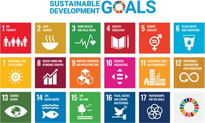 Advancing CCU Technologies Pursuant to the SDGs: A Challenge for Policy Making